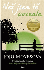 Než jsem tě poznala