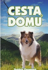 Cesta domů